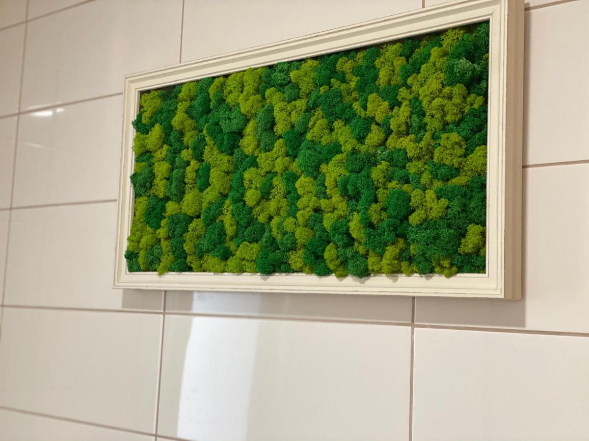 Green Deluxe Apartment Cosmopolis Stefanestii de Jos Eksteriør billede